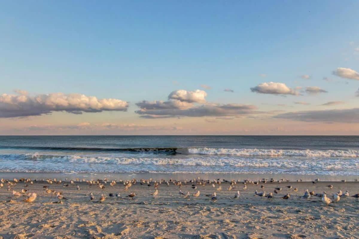 *Oceanfront Sunny Fun*Queen Beds *Great Pools, Hot Tubs+*M44 Myrtle Beach Extérieur photo